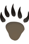 A8 Bear Paw