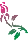 H312 Rosebud