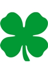 H3155 Shamrock