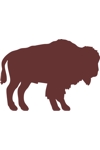 H3159 Buffalo