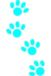 H324 Paw Prints