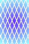 TEX Net 2