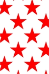 TEX-Star Block Lg