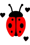 CLR Lady Bug