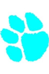 CLR Paw