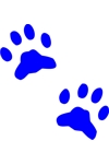 CLR Paws