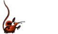 rat